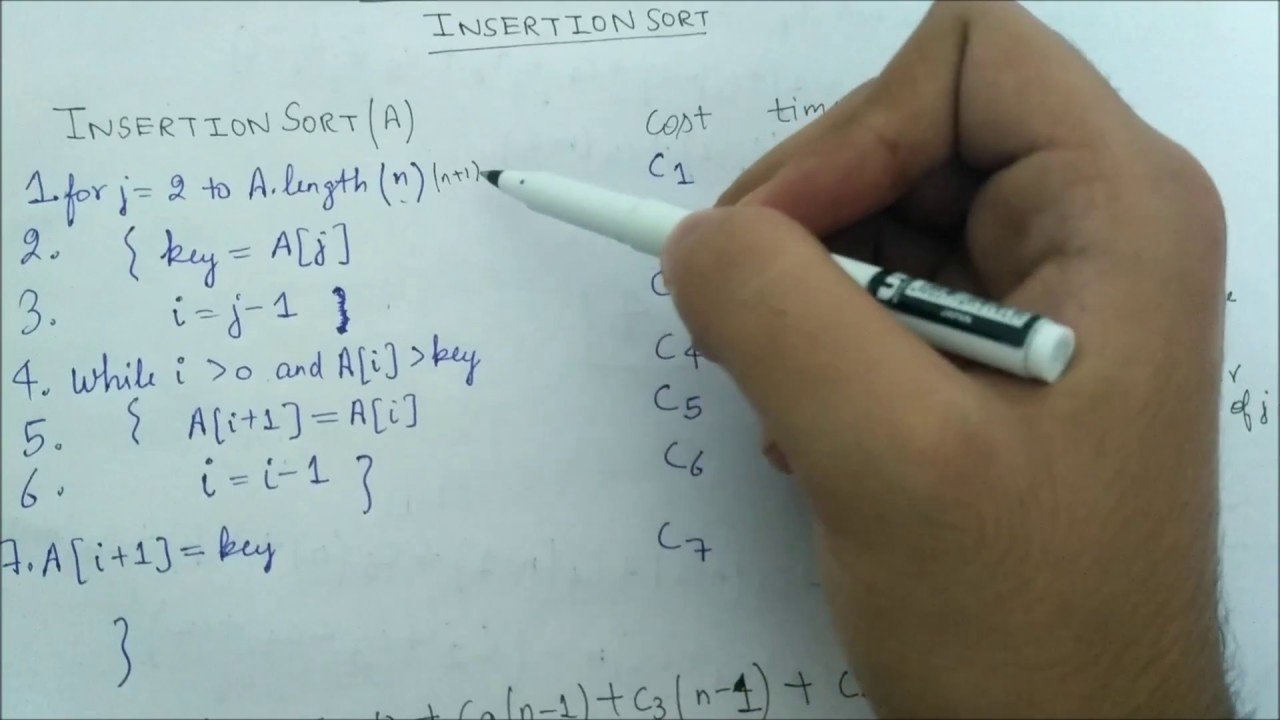 Insertion Sort Time Complexity: A Friendly, Step-by-Step Guide for Humans